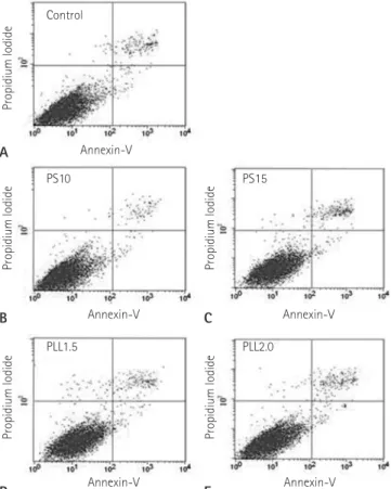 Fig. 6. Graph shows the rates of apoptotic cells per total number of  cells at the right lower quadrant in the dot graphs immediately (black)  and 4 days (white) after labeling