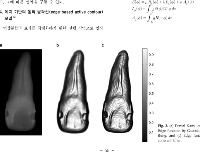 Fig.  3.  (a)  Dental  X-ray  image,  (b)  Edge  function  by  Gaussian   smoo-thing,  and  (c)  Edge  function  by  coherent  filter.위한 에너지 함수는 DRLSE를 사용하였다