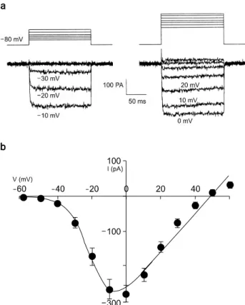 Fig.  1.  Peak  current  (I Ba )-voltage  (V m )  relationship  recorded  in  adrenal  chromaffin  cell  held  at  −80  mV  activated  by  150  ms  depolarizing  pulses  applied  in  10  mV  steps