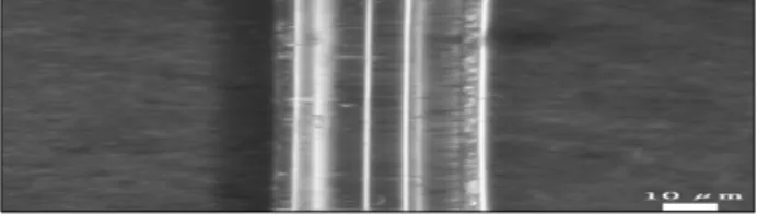 Fig.  4.  Spark  discharge  of  needle  end  point  in  solution.