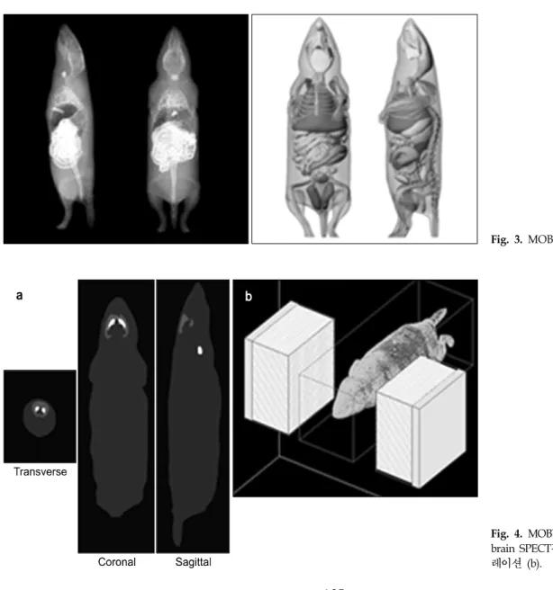 Fig.  3.  MOBY  팬텀.
