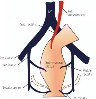 Fig.  1. Anatomy of the rectal venous plexus. The rectum has two  drainage veins. The upper and middle thirds of the rectum drain  pri-marily into the superior rectal vein and finally empty into the liver via  the inferior mesenteric vein and portal vein