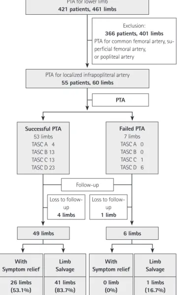 Fig. 1. Flow chart shows patient selection process and outcome of PTA.