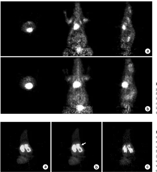 Fig.  4.  Reconstructed  3D  PET  ima- ima-ges.  (a)  PET  image  reconstructed  from  original  sinogram