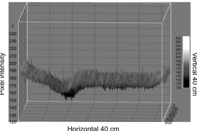 Fig.  1.  Dose  distribution  charts  in  the  LINAC  were  expressed  as  3D.