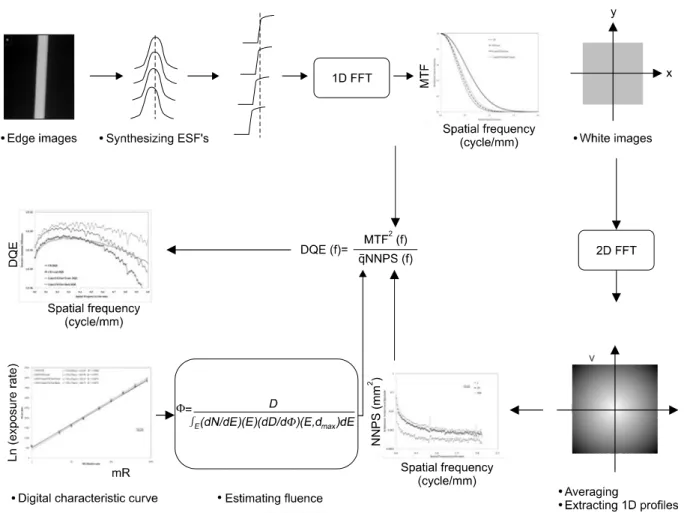 Fig.  3.  MTF  was  measured  by  using  one-dimensional  FFT  of  ESF.  NPS  was  calculated  by  using  white  image,  acquired  by  exposure  without  object  in  IP