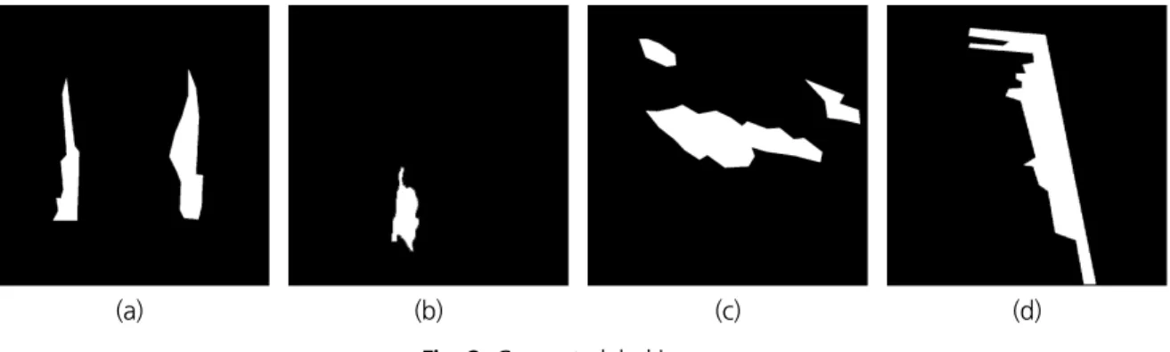 Fig. 2. Concrete label images