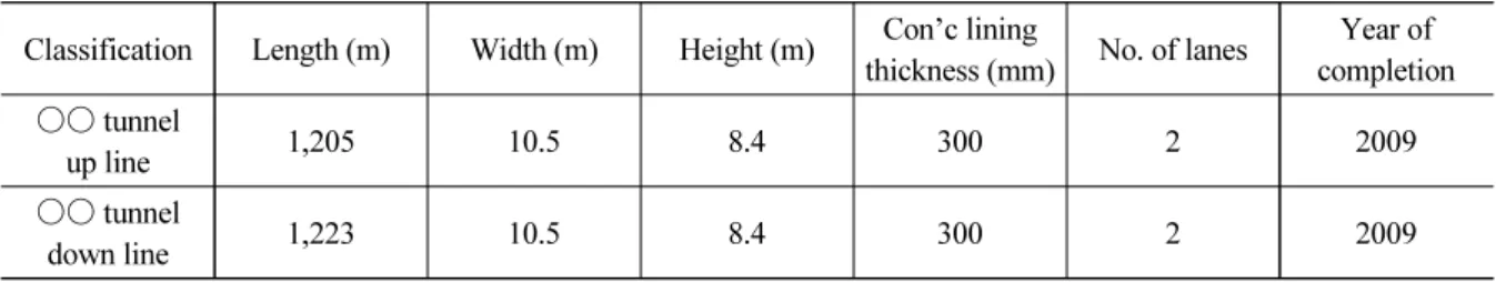 Table 1. ○○ tunnel summary