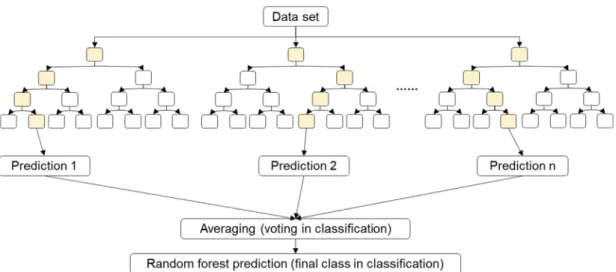 Fig. 3. Concept diagram of random forest