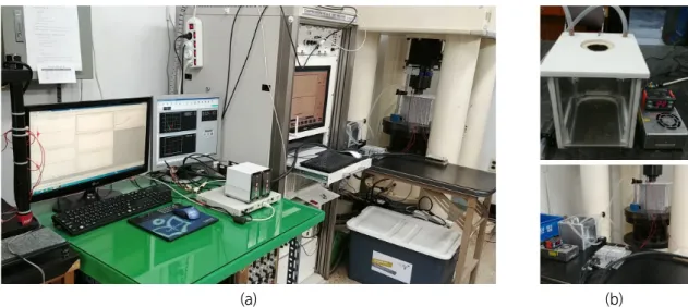 Fig. 2. Test for Mazars damage model
