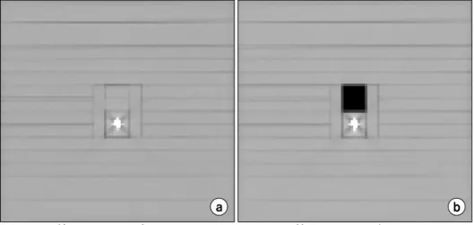 Fig.  3.  The  EGSPHANT  formatted  material  and  density  matrices  of  the  (a)  homogeneous  and  (b)   hetero-geneous  with  air  region  phantoms
