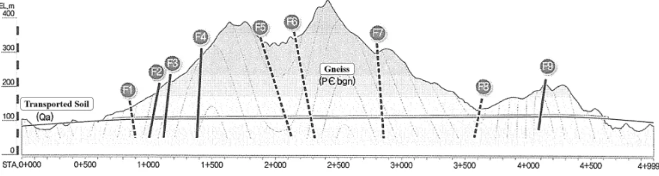 Fig. 8. Longitudinal geological profile