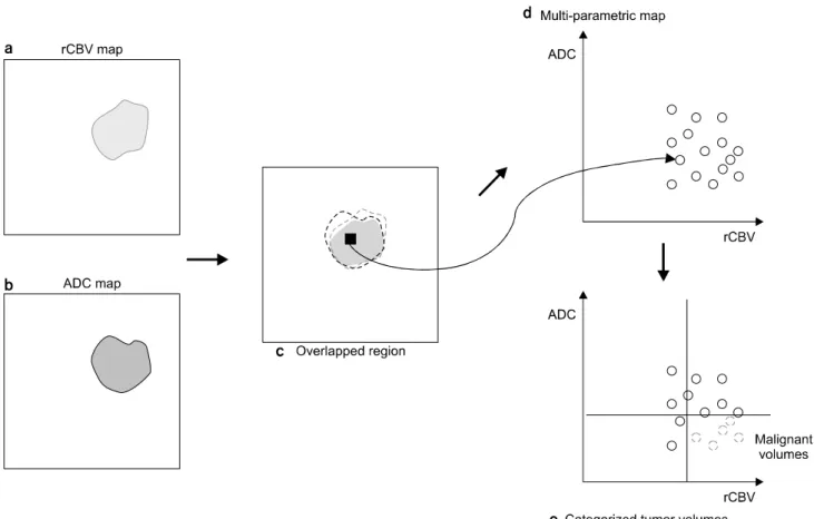 Fig.  2.  The  method  to  configure  the  multi-parametric  maps  and  to  determine  the  local  malignant  sub-volumes  using  the  functional  MR  images