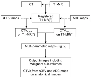 Fig.  3.  The  outline  to  obtain  the  biological  clinical  target  volumes  based  on  analysis  of  regional  cerebral  blood  volume  (rCBV)  maps  and  apparent  diffusion  coefficient  (ADC)  maps  using  the  developed  program  integrated  with  