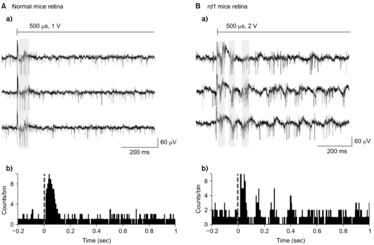 Fig.  1.  The  response  of  electrically-evoked  RGC  spikes  in  normal  and  rd1  mice  retinas