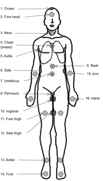 Fig.  2.  Points  for  measuring  in-vivo  electron  dose.