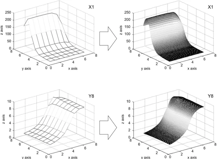 Fig.  2.  Simulated  detector  response  function  (DRF)  and  fine  DRF  generated  by  bicubic  interpolation  with  0.3  mm  resolution.