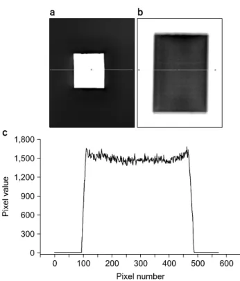 Fig.  8.  L-spine  lateral  image  (a),  unexposed  image  of  erasure  level  at  100  mR  (b),  300  mR  (c),  500  mR  (d),  750  mR  (e)