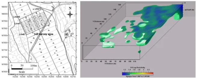 Fig. 2. 3-D electrical resistivity survey (Park et al., 2006)