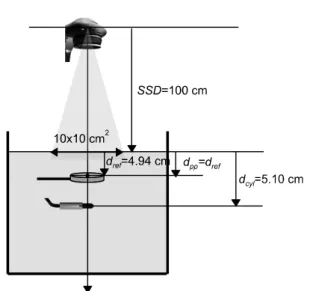 Fig.  1.  Schematic  overview  of  the  reference  conditions  for  the  cross-calibration  in  the  electron  beam  of  a  nominal  energy  21  MeV  with  the  beam  quality  of  R 50 =8.40  cm