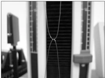 Fig.  3.  3D  meshed  models  of  the  nitinol  wire.