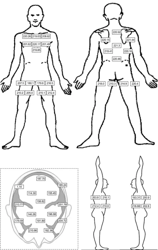 Fig.  7.  TLD  measurement  in  the  patient.