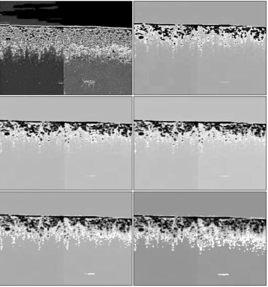Fig.  6.  The  results  of  the  image  segmentation  for  human  cartilage  OCT  images.