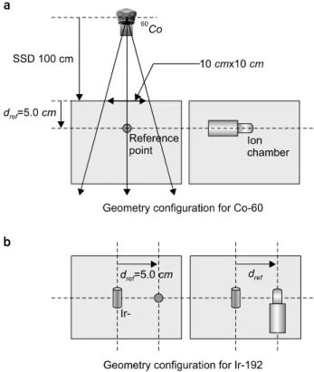 Fig.  2.  Geometry  configuration  for  the  Monte  carlo  simuation  to  calculate    