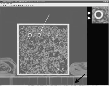 Fig.  1. Example of measurement of airway phantom dimen- dimen-sion using dedicated software