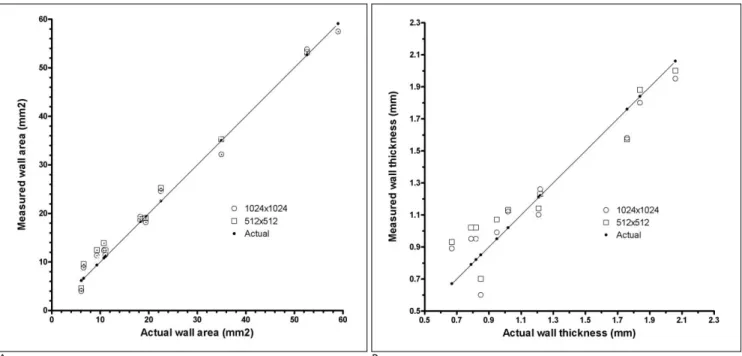 Fig. 5. Comparison of pixel size in the measurement of airway dimensions. 