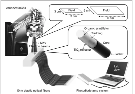 Fig.  1.  Experimental  setup.