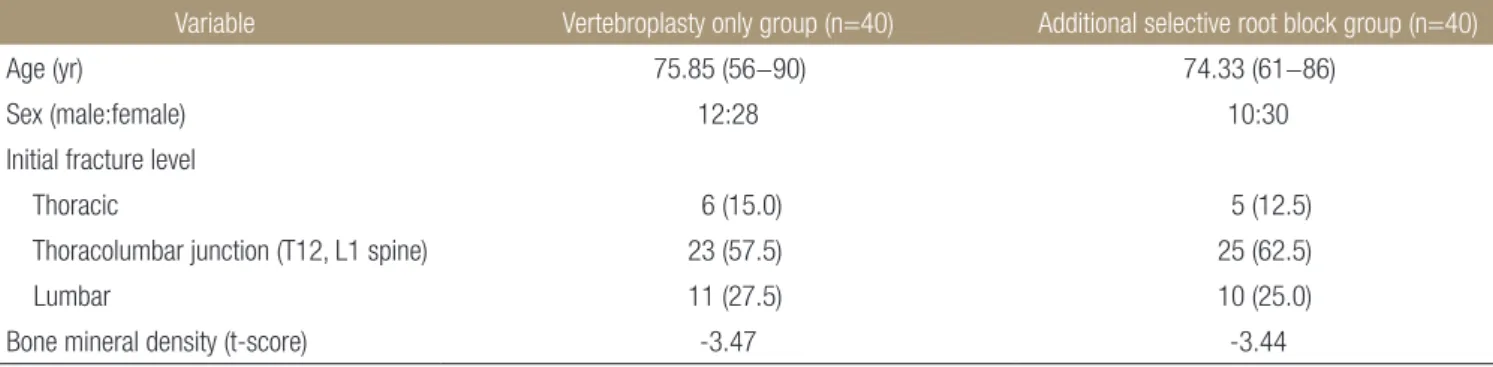 Table 1. Comparison between the Vertebroplasty Only Group and the Additional Selective Root Block Group