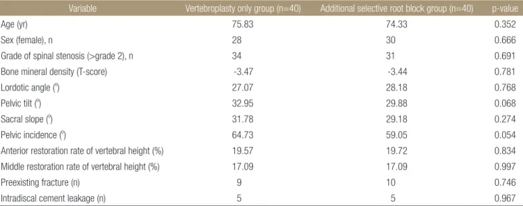 Table 2. Comparison of Risk Factors between the Vertebroplasty Only Group and the Additional Selective Root Block Group