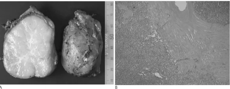 Fig. 3. Pathology 