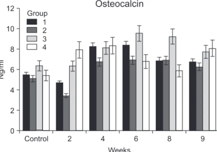 Figure 8. Biweekly changes in optical density of osteocalcin (OC) for  groups 1 through 4