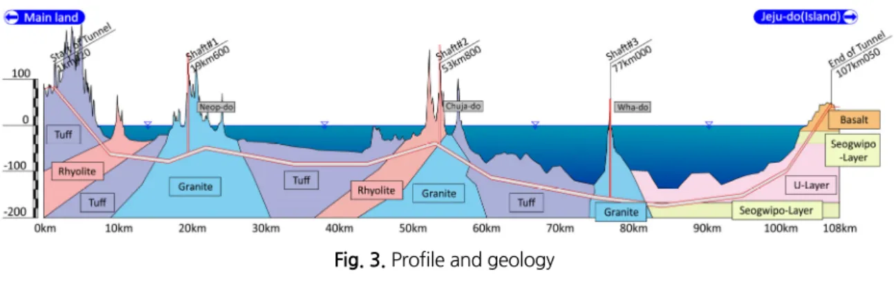 Fig. 3. Profile and geology