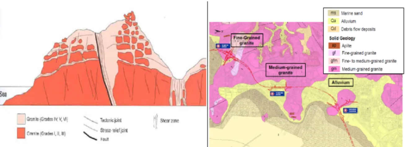 Fig. 2. Weathering degree, rock classification and geological characteristics