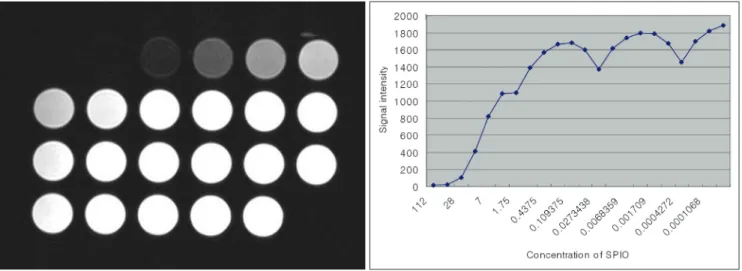 Fig. 1. T2-weighted MR image of variable concentration of iron oxide. According to the decreased concentration of iron oxide, sig- sig-nal intensity of MR image was increased gradually