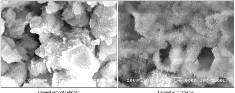 Figure 4. Change of compressive strength in proportion to concentration  of cefazolin