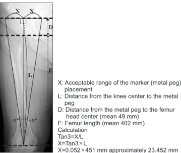 Figure 4. Radiograph showing the mechanical axis in the coronal plane. 