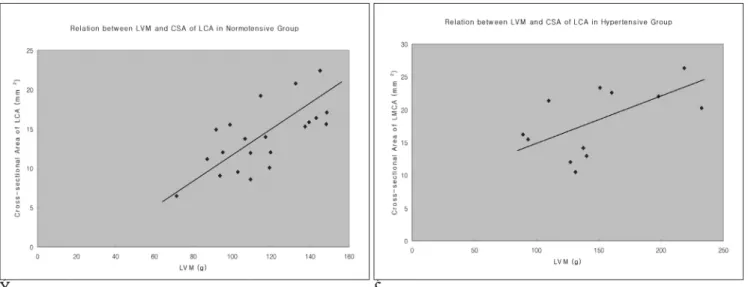 Fig. 3. Graph shows a positive correlation between the left ventricular mass (LVM) and the cross-sectional area (CSA) of the left coronary artery (LCA) in all the subjects (r =0.67 p = 0.000).