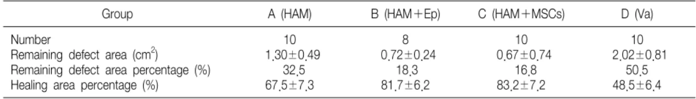 Fig.  6.  Comparison  of  HAM  alone  (A),  HAM  with  epidermal  cells  (B),  HAM  wih  MSCs  (C),  and  the  vaseline  gauze  (D)  group 2 weeks  post-graft (HAM, human  amniotic  membrane; 