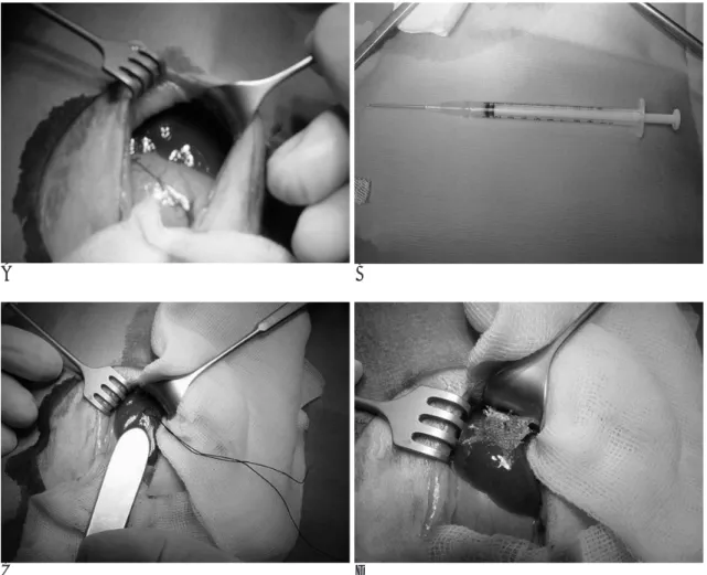 Fig. 1. Inoculation methods.