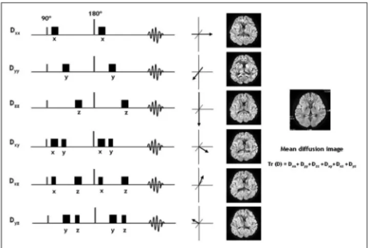 Fig. 3. Scheme of diffusion tensor imaging. The six elements (Dxx, Dyy, Dzz, Dxy, Dxz, Dyz) for each voxel are calculated from six images obtained by applying diffusion-sensitizing  gra-dients (squares) in at least six directions (for example: xx, yy, zz, 