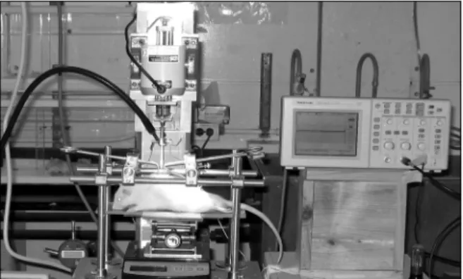 Fig.  1.  Ohio  State  University  (OSU)  Impactor.  A  laminectomy  (T9-10)  was  performed,  and  the  bases  of  the  adjacent  spinous processes were secured with modified Allis  clamps