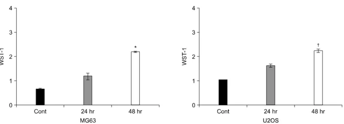 Fig.  4.  Time  course  of  the  effects  of  AM  (50  nM)  on  the  cell  proliferations  of  the  MG63  and  U2OS  cells,  as  determined  by  the  WST-1 assays