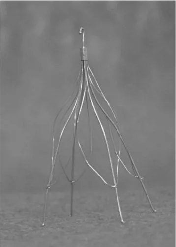 Fig. 1. The Gu ¨nther Tulip filter.