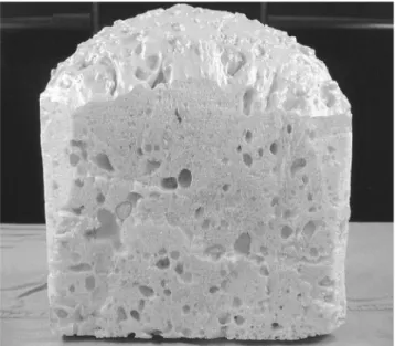 Fig. 1. Exterior view of the lung nodule phantom. The support- support-ing structure is made of urethane foam and the artificial  nod-ules are contained within it.