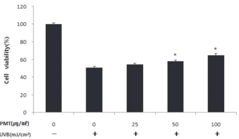 Fig.  4.  Effect  of  Palmul-tang(PMT)  under  Ultraviolet  B(UVB)  irradiation  on  cell  viability