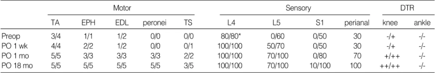 Fig. 2. Four main disc masses removed from L4-5 were arranged into its original shape.